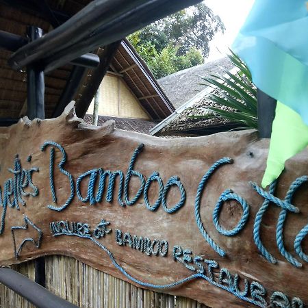 Ayette'S Bamboo House Restaurant And Cottages San Vicente  Exterior foto